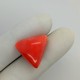 Coral (Moonga) 27.75 Ct Good Quality Coral (Moonga) 27.75 Ct Good Quality